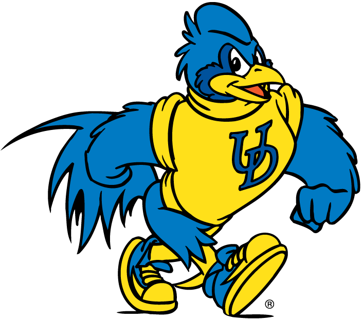 delaware blue hens 1993-pres mascot logo t shirts DIY iron ons v5